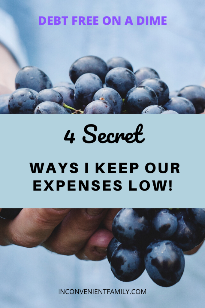 4 secret ways I keep our expenses low